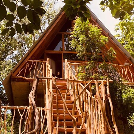 Angry Birds Tree House Lejlighed Habarana Eksteriør billede