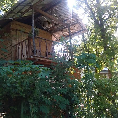 Angry Birds Tree House Lejlighed Habarana Eksteriør billede