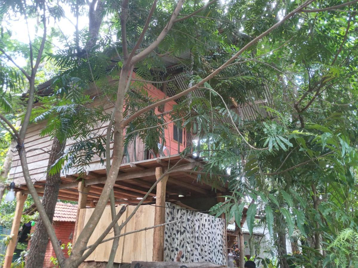 Angry Birds Tree House Lejlighed Habarana Eksteriør billede
