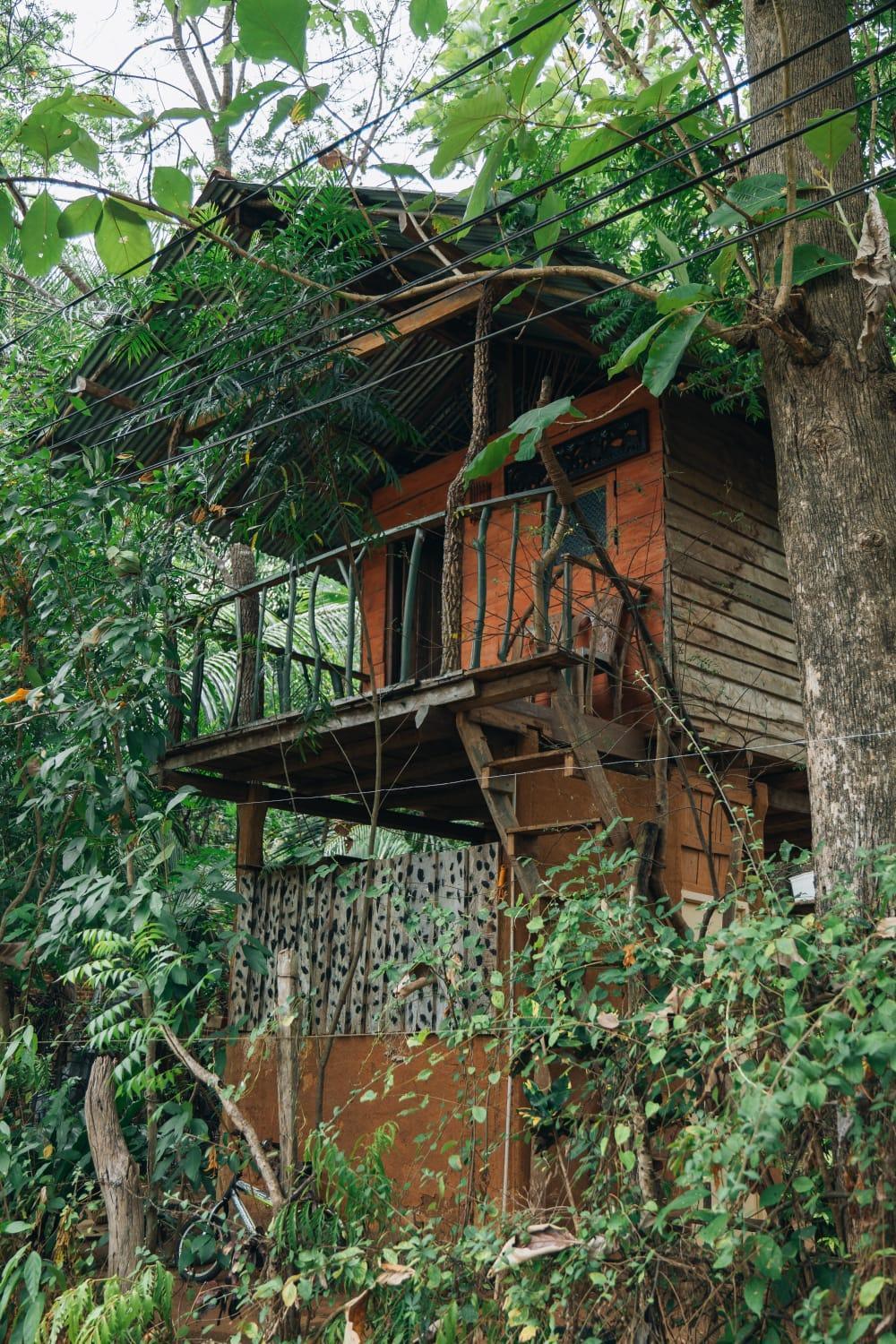Angry Birds Tree House Lejlighed Habarana Eksteriør billede