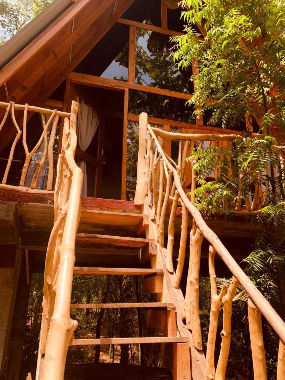 Angry Birds Tree House Lejlighed Habarana Eksteriør billede
