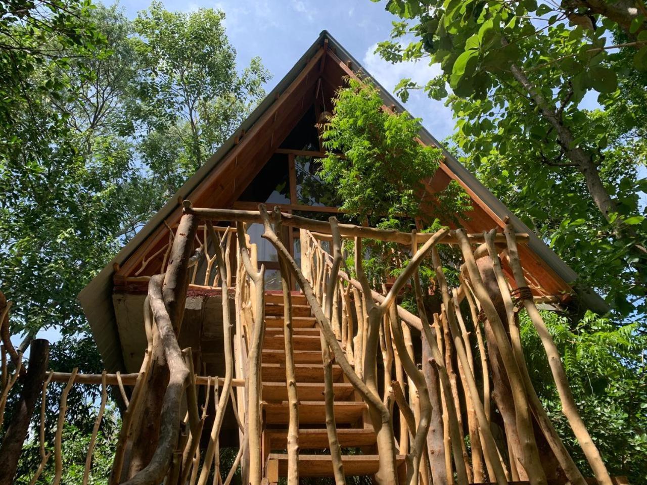 Angry Birds Tree House Lejlighed Habarana Værelse billede