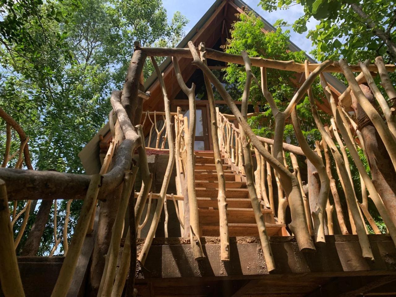 Angry Birds Tree House Lejlighed Habarana Eksteriør billede