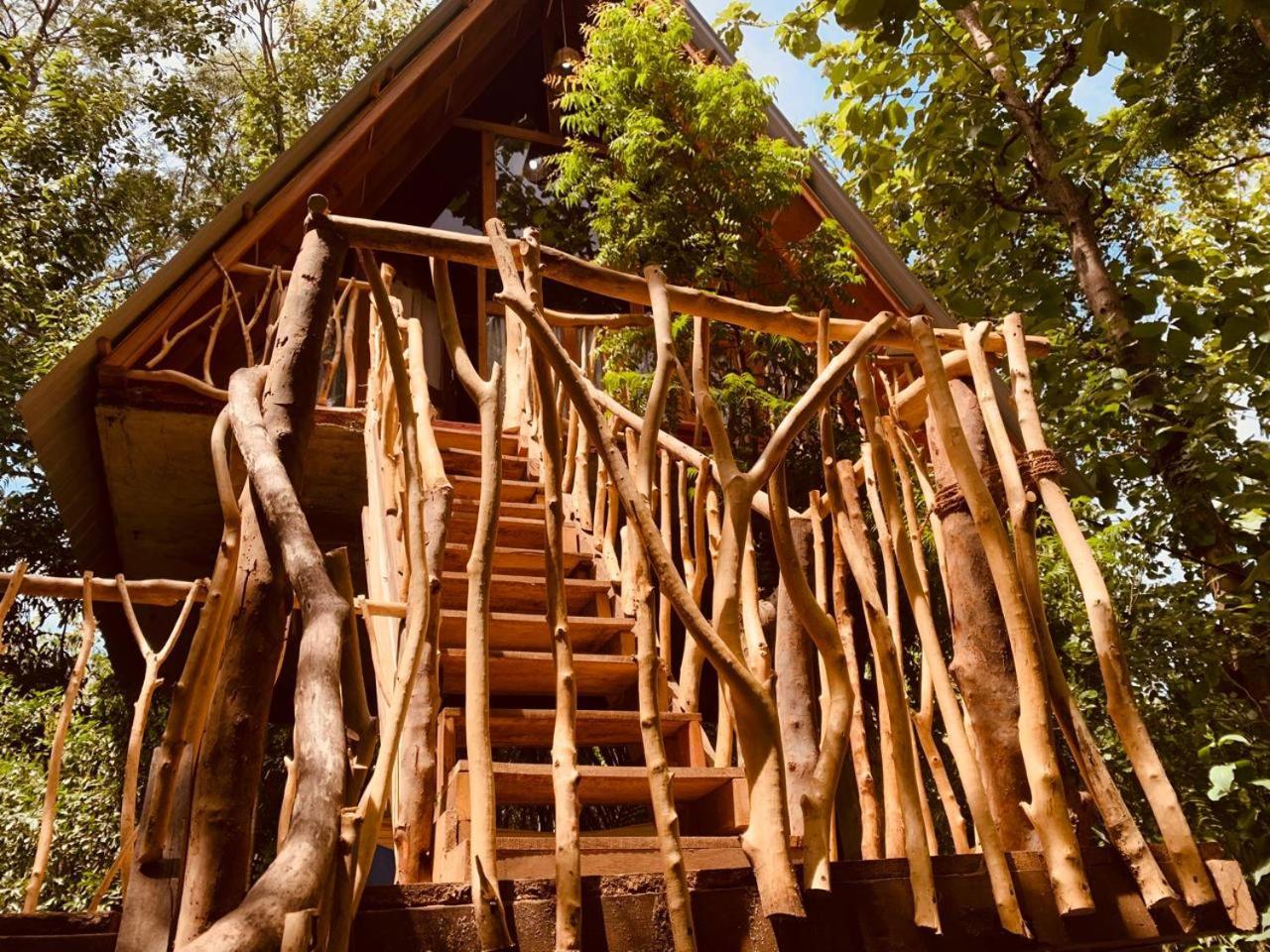 Angry Birds Tree House Lejlighed Habarana Eksteriør billede