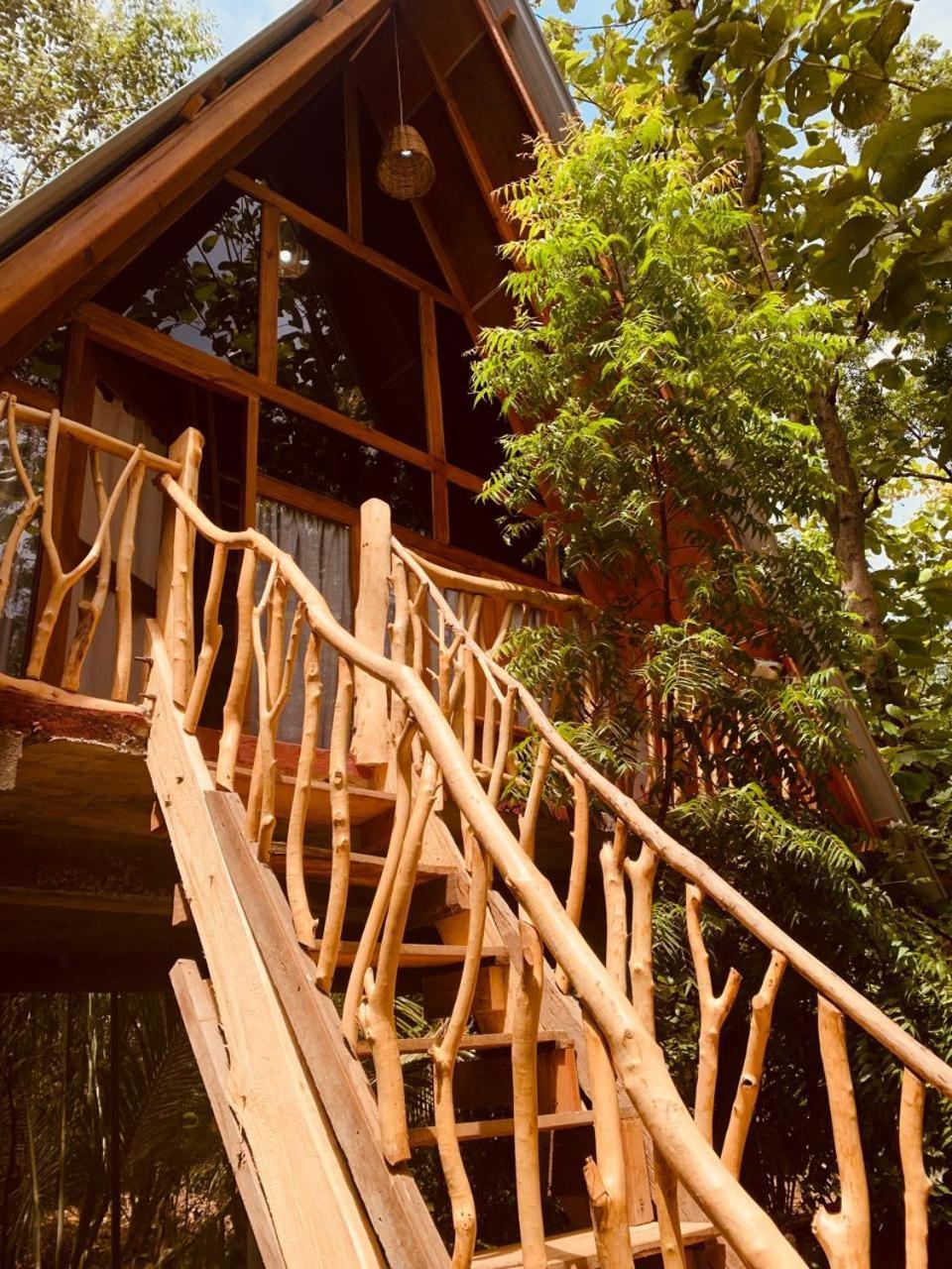 Angry Birds Tree House Lejlighed Habarana Eksteriør billede