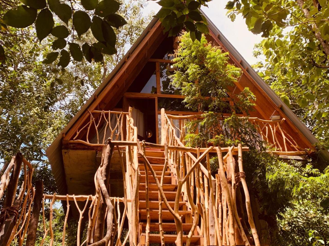 Angry Birds Tree House Lejlighed Habarana Eksteriør billede