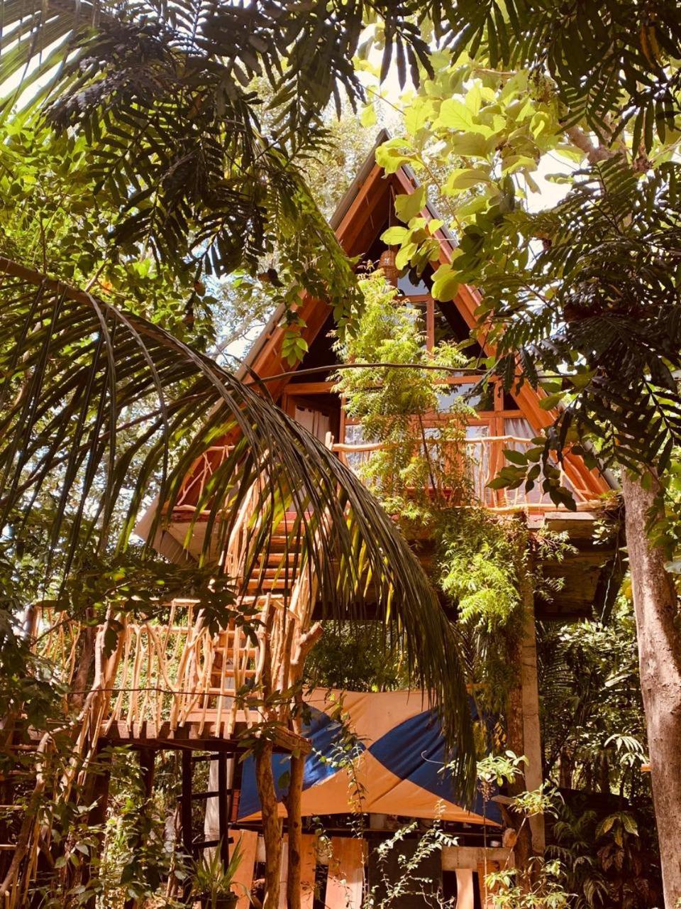 Angry Birds Tree House Lejlighed Habarana Eksteriør billede