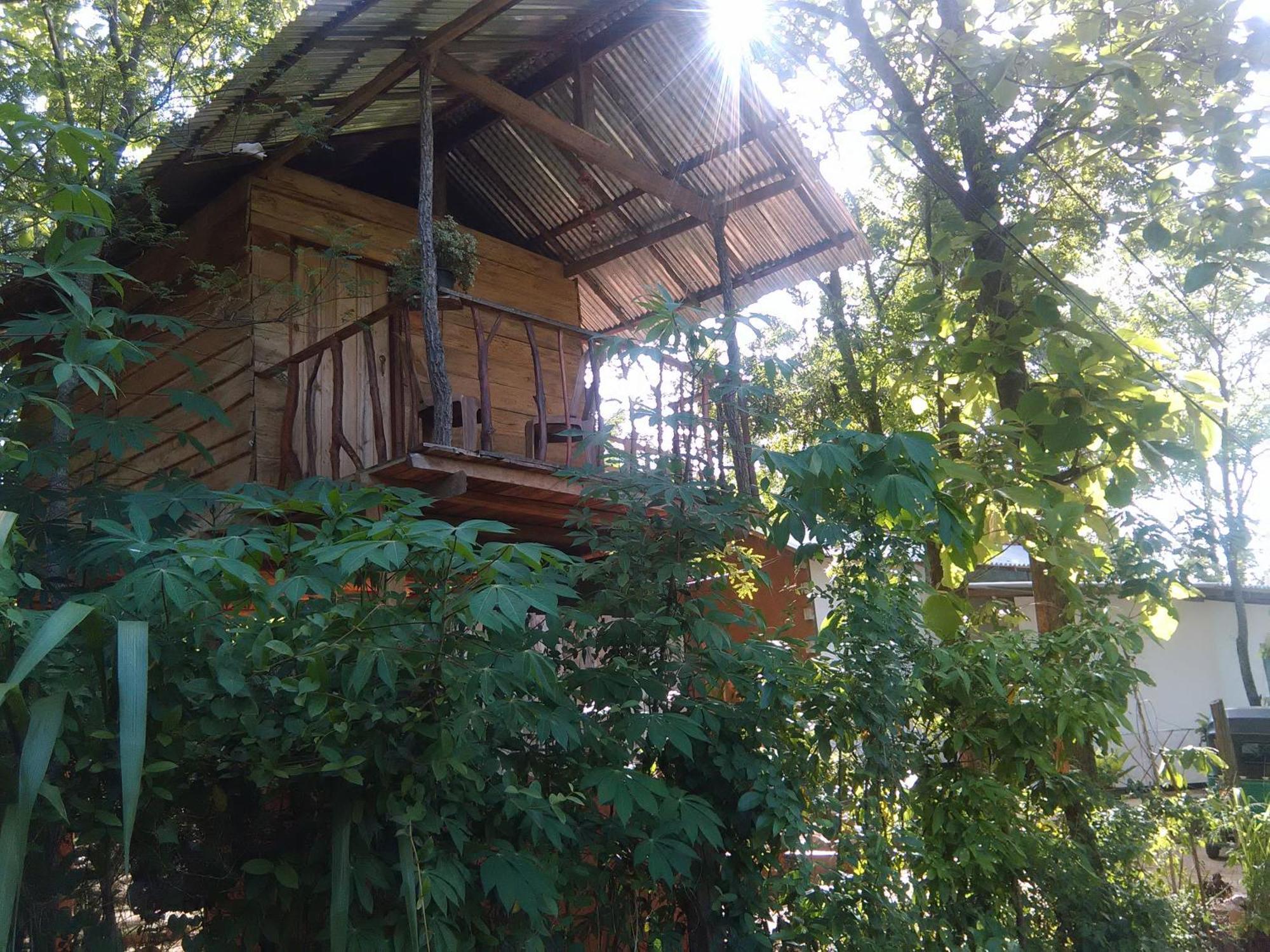 Angry Birds Tree House Lejlighed Habarana Eksteriør billede