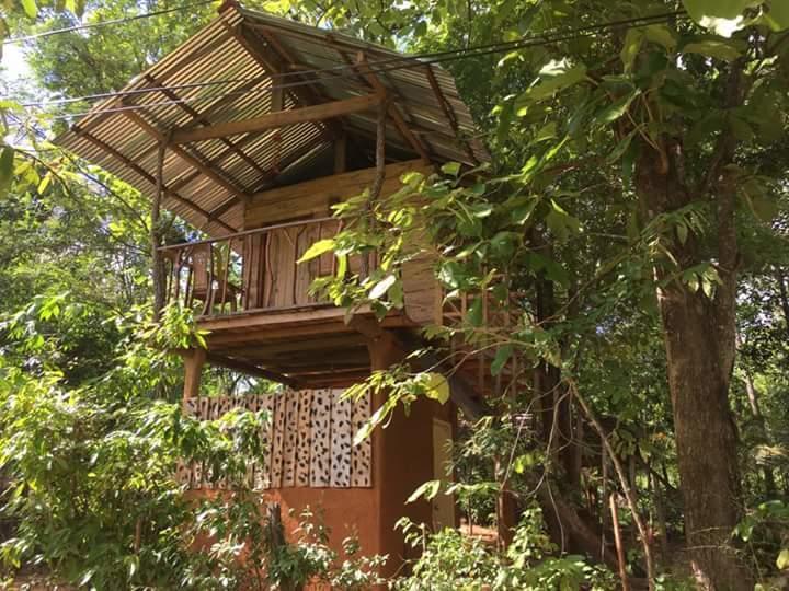 Angry Birds Tree House Lejlighed Habarana Eksteriør billede